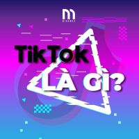 Tìm hiểu về TikTok Ads